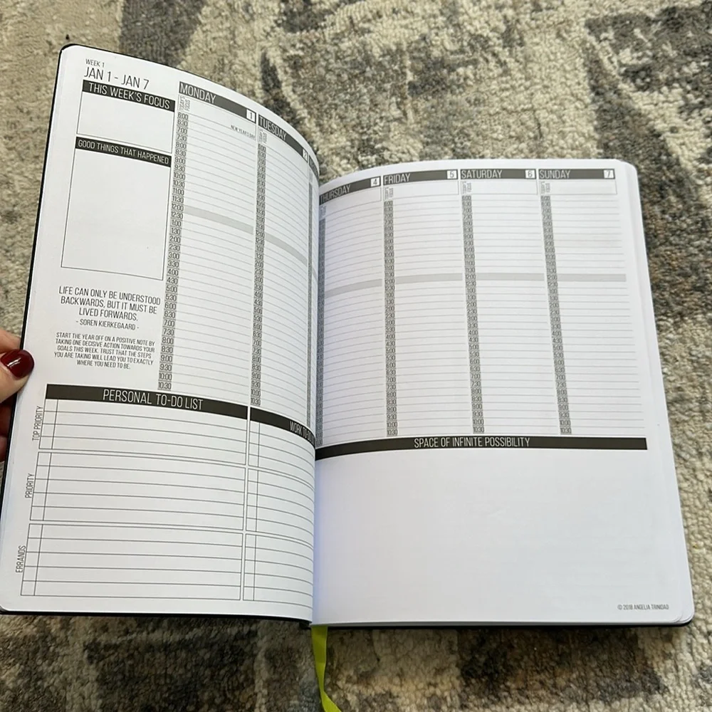 2018 Large Passion Planner (never used)
